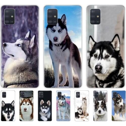 Silicon phone cover case for samsung galaxy A51 A31 A41 A71 A01 A81 A91 A30S A20S A50S M30S M40S coque husky puppy dog cute