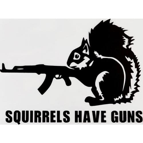 15.4CMX11.4CM Squirrels Have Guns Fun Vinyl Decals Car Sticker Black/Silver