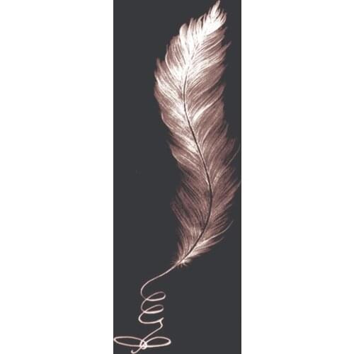 Fexport Baby Temporary Tattoos