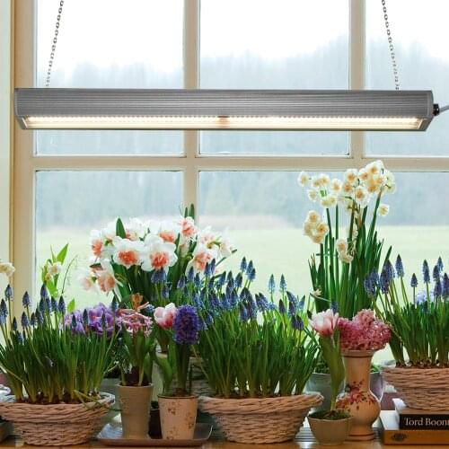 LUMSPACE Professional Lighting