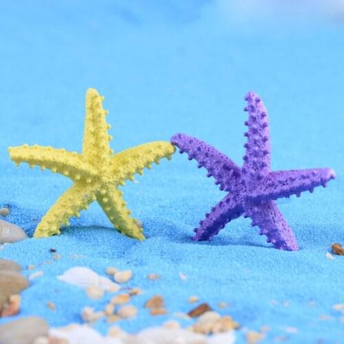 2pc Starfish Miniature Figurine Fairy Garden DIY Accessories Doll House Decoration cartoon plant animal models plastic girl toy