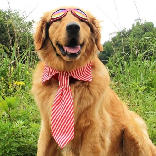 1PC Lovely Hansome Elastic England Style Dog Puppy Cat Pet Adorable Grooming Bow Collar Tie Wedding Party Decoration Necktie