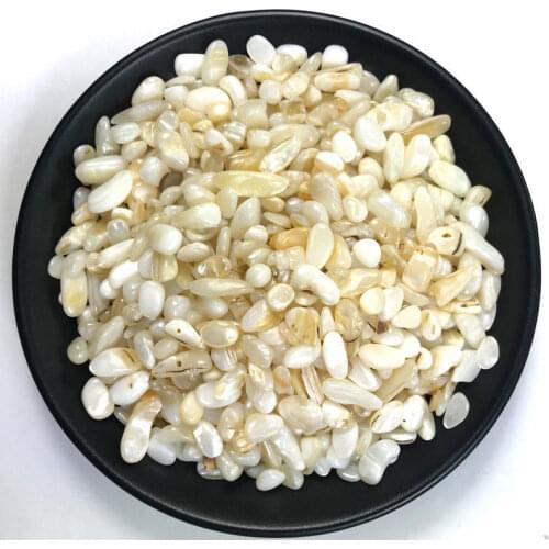 50g 3 Kinds Shell Conch Gravel Stones Quartz Crystal Rock Energy Mineral Crystal Mineral Crystals