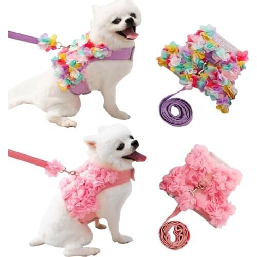 Abrrlo Collars, Harnesses And Leashes