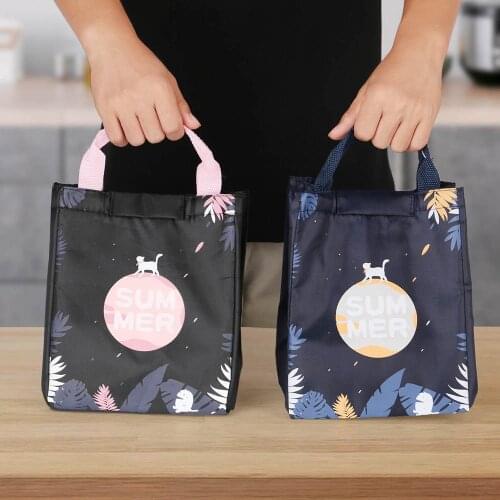 Portable Cooler Lunch Bag for Picnic Kids Women Travel Thermal Breakfast Organizer Waterproof Cartoon Pattern Storage Handbag