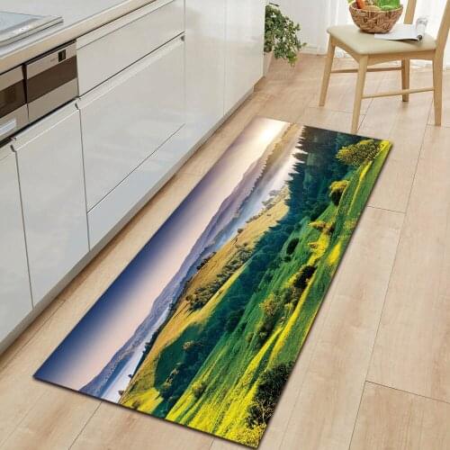 Natural Scenery Carpe Doormat Kitchen Mat Rugs for Bedroom Living Room Bathroom Anti-Slip Floor Mat