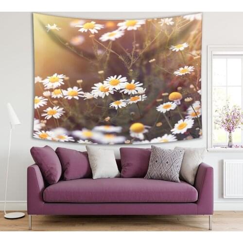 Tapestry Daisy Wild Chamomile Shining Sun Flowers Summer Backyard Countryside Nature Photo White Green
