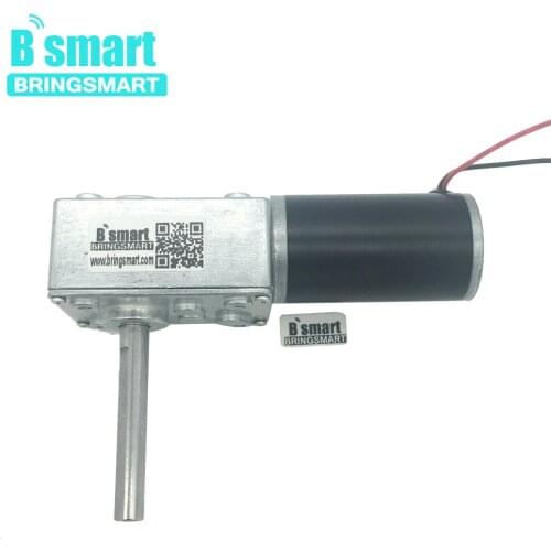 Bringsmart 12-470RPM Low Speed Worm Gear Motor DC 24V 12V Large Torque Reducer 51MM Length Shaft 5840-31ZY Self Lock Gearbox