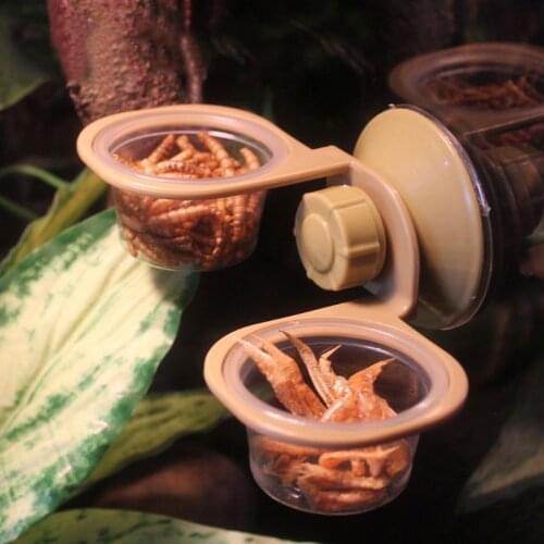 Suction Cup Reptile Water Food Feeder Wall Hanging Feeding Dish Bowl Spider Box K1MF