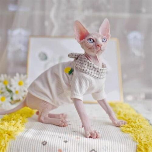 Literary Sphynx Cat Clothes Pineapple Fashion Pet Accessories Comfort Spring summer shirts for cats Hairless Cat Clothing