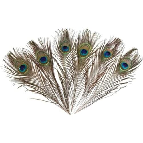 5pcs Natural Peacock Tail Feathers High Quality For Wedding Craft Arts DIY Home Decor 25-30cm Natural Peacock Tail Feathers