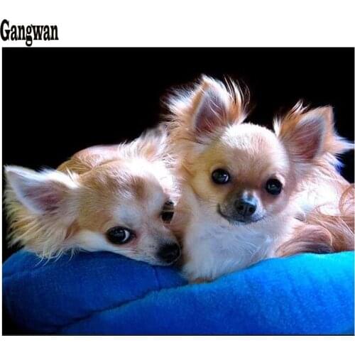 5D Diy,diamond painting puppies chihuahua dog rhinestone embroidery animal pet mosaic diamond cross stitch full round drill art