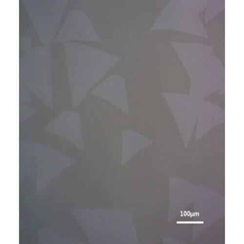 Tungsten disulfide 14: silver film substrate WS2