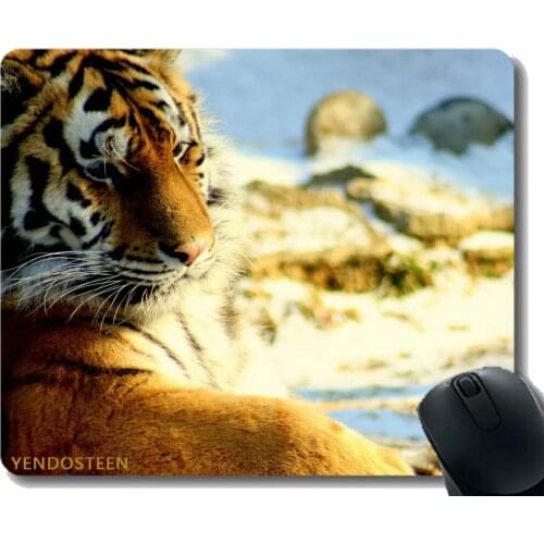 Mouse Pad Anti-Slip,Tiger Predator Snow Down Big Cat 56493 Non-Slip Rubber Base Mousepad