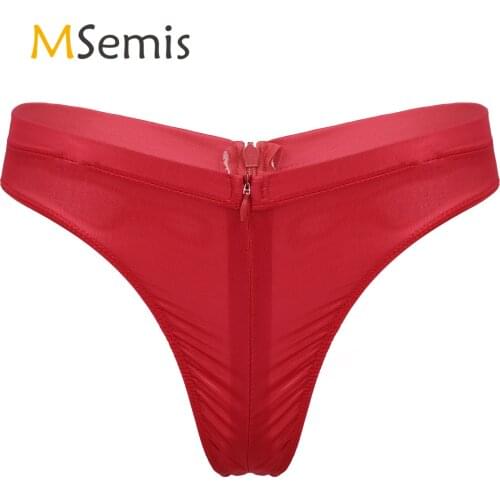 See Through Lingerie Panties Sexy Transparent Underwear for Womens Zipper Open Crotch Briefs Elastic Waistband Sexy Underpants