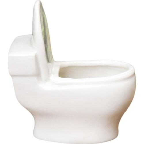 Succulent Flower Pot Home Garden Decroation Plants Green Bonsai Small White Office Desk Decoration Toilet Shaped Vase Ornaments