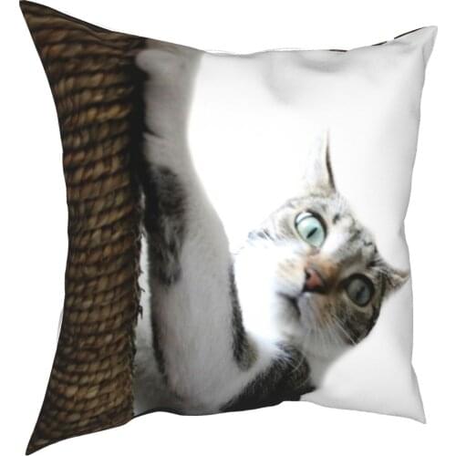 Claw Marks Cat Kitty Lover Animal Pet Pillowcase Printing Polyester Cushion Cover Decoration Pillow Case Cover Bed 45X45cm