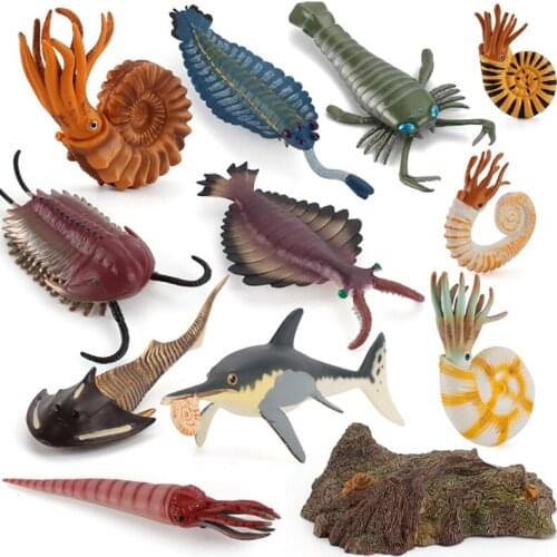 Childrens Simulated Marine Animal Model Cambrian Ancient Creature Strange Shrimp Nautilus Trilobite Set Toy