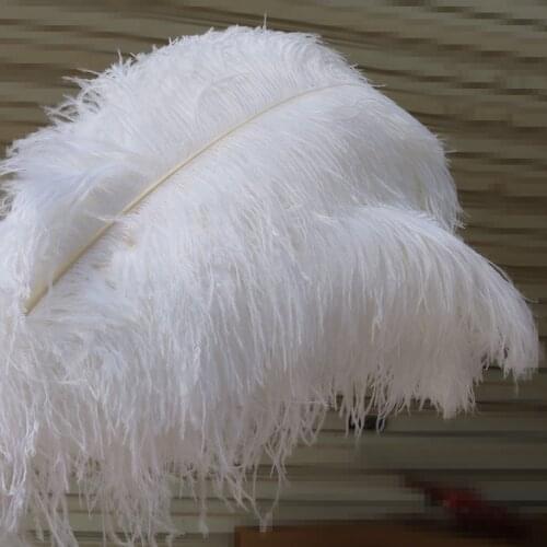10 pcs White Natural Ostrich Feathers 5-80 CM Long for Diy Wedding Party Home Vase Carnival Decoration Craft Plumes Accessory