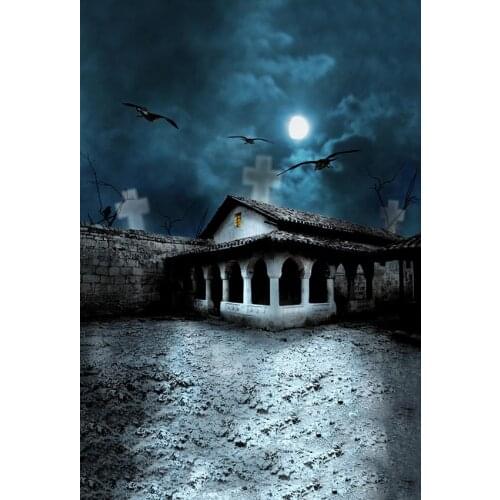 Old building photo backgrounds fabric Halloween celebration kids photography backdrop for photo studio funds fotografia LV-2395