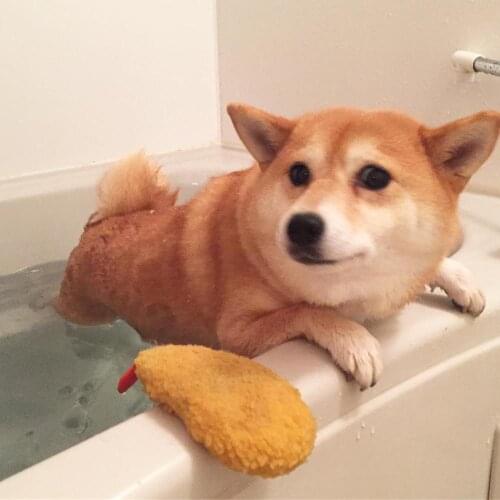 Cartoon Cute Pet Dog Toys Squeaking Cat Plush Sound Toys For Small Puppy Tempura Funny Fleece Durability Chew Toy Fried Shrimp