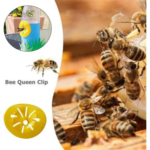 10 pcs Bee Catcher Garden Home Killer Wasp Trap Beekeeping Home Garden Trap Outdoor Pest Control Non-toxic Pest Control Products