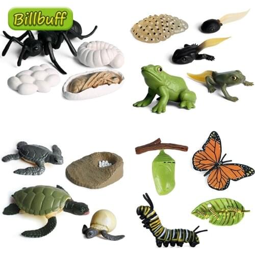 New Insect Animals Models Simulation Butterfly Growth Cycle Action Figures Figurine Miniature Educational Toys for Children Gift