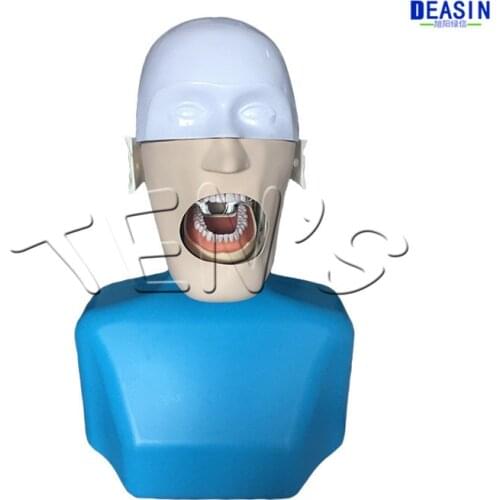 2019 new dental New simulation shoulder head mould Dental surgery dental preparation dental teaching model