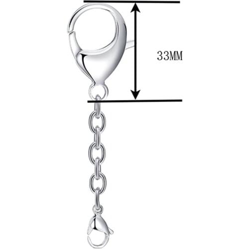 10pcs surgical 316L Stainless Steel large bag clip for living floating charms glass locket and essential oil diffuser lockets