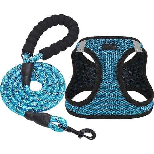 Soft Mesh Breathable Vest Harness Step-in Reflective Pet Harness with Leash Set for Small Medium Dogs -No Pull No Choke Comfort