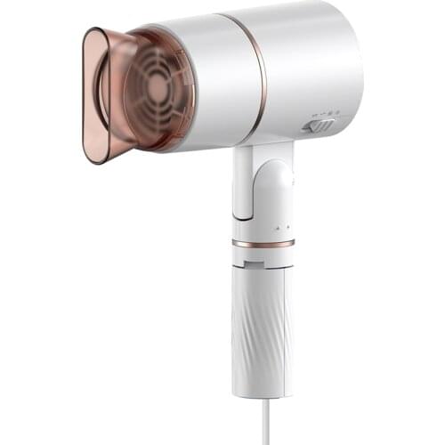 800W Professional Hair Dryer (With Powerful Ac Motor), Negative Ion Technology,2 Speed / Cold Settings US Plug