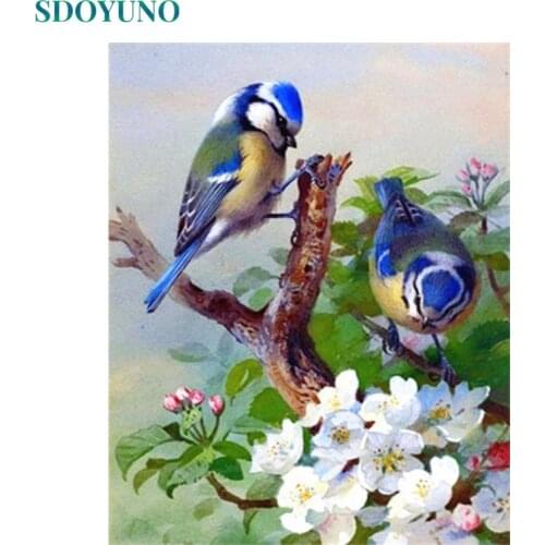 SDOYUNO 40x50cm Acrylic Paint By Numbers Bird Scenery Oil Painting By Numbers On Canvas Animals Frameless DIY Home Decor