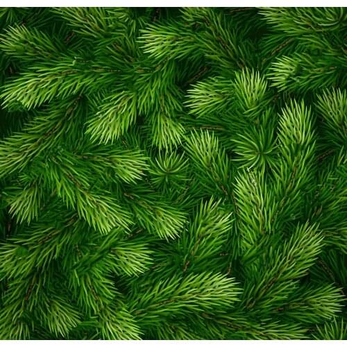 Detailed Christmas tree branches backdrops Vinyl cloth High quality Computer print wall photo studio background