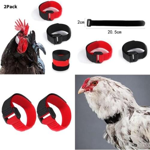 2pcs Nylon No Crow Collar for Roosters Noise Free Belt Collars Poultry Supplies