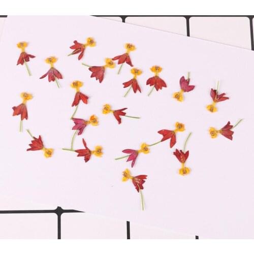 100pcs Pressed Dried Flower Rose petal Filler For Epoxy Resin Jewelry Making Postcard Frame Phone Case Craft DIY