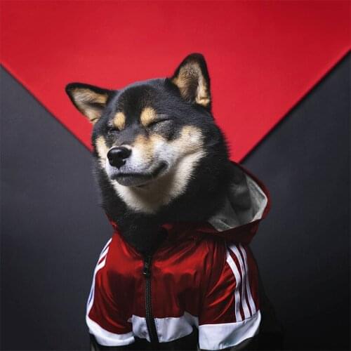 Dog Christmas clothes pet dog jacket dog clothes dog coat dog clothes for small dogs dog clothes for large dogs winter clothes