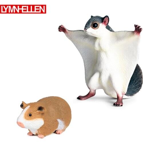 Environmental Protection Solid Plastic Simulation Wild Animal Guinea Pig Flying Squirrel Animal Model Toy Gift