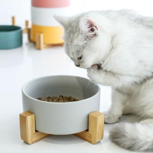 Ceramic Cat Bowl with Wood Stand No Spill Food Water Feeder Small Dogs Pet Accessories