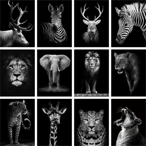 5d DIY Diamond Painting Set Full Square Drill Black White Animals Diamond Embroidery Mosaic Crafts Cross Stitch Kit Home Decor