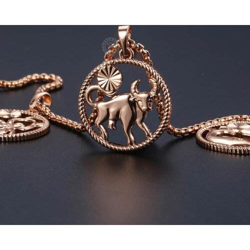 Davieslee 12 Constellation Womens Necklaces 585 Rose Gold Filled Pendant Necklace For Women Men Zodiac Sign Fashion Gift DGPM21