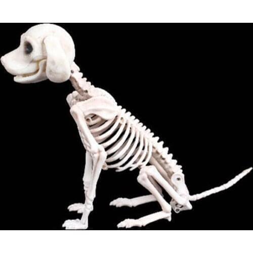 Halloween Skeleton Dog Prop Animal Bones Party Shop Decoration Horror Dog Skeleton Skull Halloween Horror Decoration Props