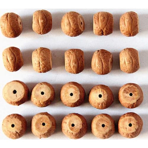 20PCS Natural Bodhi Beads Real Nepal Phoenix Eye Bodhi Beads Tibetan Prayer Malas BARREL Beads 14-15mm TSB0433