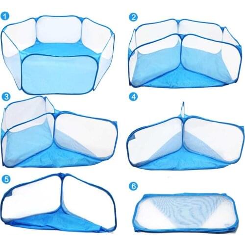 Peitten Summer Tents