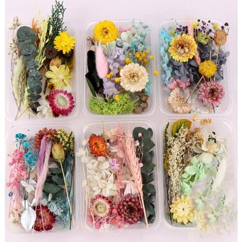 Real Pressed Flower Mixed Dried Flower DIY Art Floral Decor Art Nail Pendant Craft Flower FreeArtificial & Dried Flowers Artifi