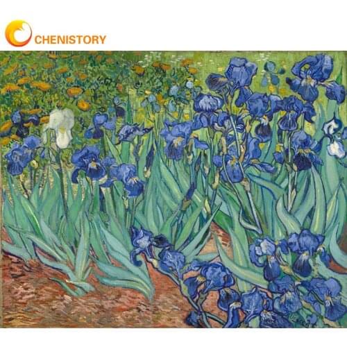 CHENISTORY Flower Paint By Numbers Kits For Adults Children Hand Painted Diy Framed On Canvas 40x50cm Home Decor Wall Artcraft