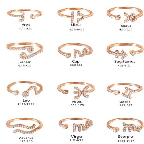2021 latest fashion creative zircon inlaid ladies open ring new style twelve constellation ring ring wholesale