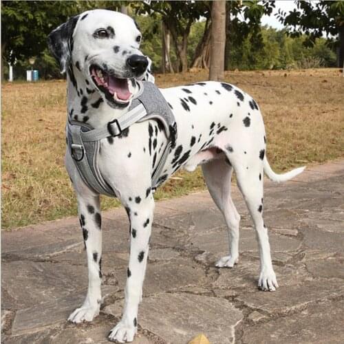 Reflective Safety Dog Harness Vest Pet Harness Adjustable Comfortable Vest For Medium Large Puppy Pet