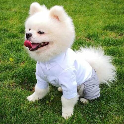 Fashion Dog Shirt Pet Dog Suit Stylish Puppy Wedding Suit Soft Cotton Small Dogs Four Legged Clothes Pet Coat Costumes