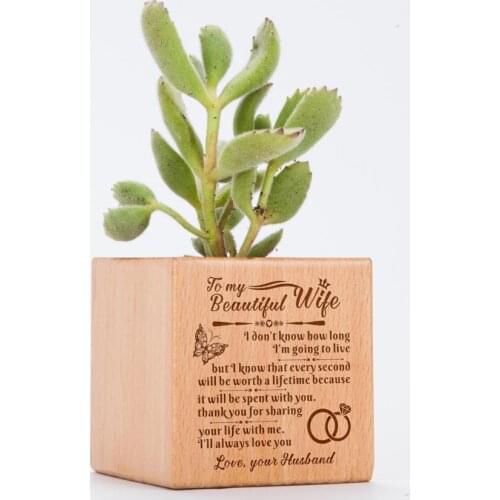 To My Love, Engraved Plant Pot