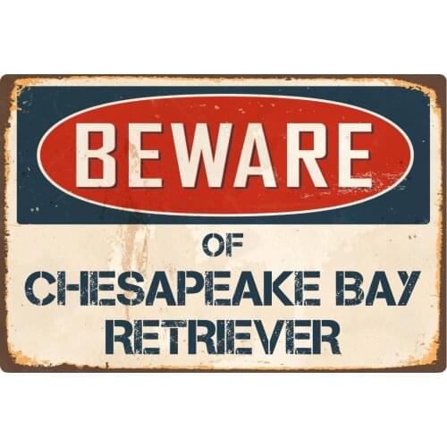 StickerPirate Beware of Chesapeake Bay Retriever 8 x 12 Vintage Aluminum Retro Metal Sign VS102